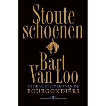 Stoute schoenen