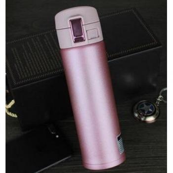 Tasse de Voyage ZK30 500ml en Acier Inoxydable