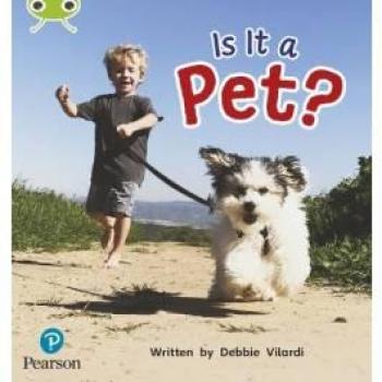 Bug Club Phonics Phase 2 Unit 4 Is It a Pet by Deborah Vilardi