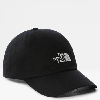Capuche Normée The North Face – Noir, Polyester, Hommes