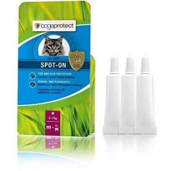 Bogaprotect Spot ON für Katzen