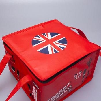 Reusable Thermal Food Tote