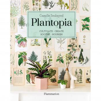 Plantopia: Joyful and Mindful Benefits of Bringing Plants into the Home