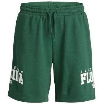 Cory Green Shorts – Jack & Jones Edition