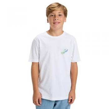 Quiksilver T-Shirt »Ev Star Ride« für Jungen