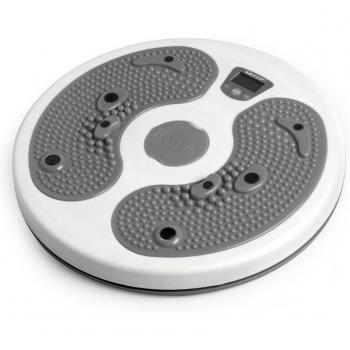 TorqueDisc Calorie Counter