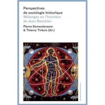 Perspectives de sociologie historique