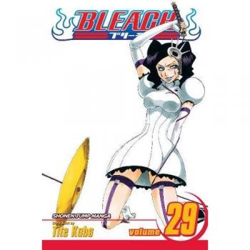 Bleach 29, Bleach (Graphic Novels)