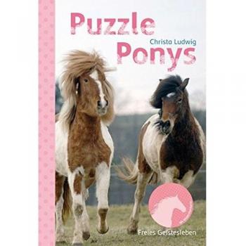 Christa Ludwig Puzzle-Ponys: Eine Geschichte Für Leseanfänger