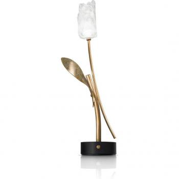 Lampe de table LED Tulip, rechargeable avec pied noir