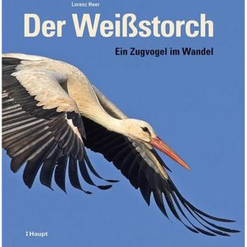 Der Weißstorch: Ein Zugvogel im Wandel