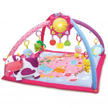 Tapis Musical Lumi Des Petits Copains
