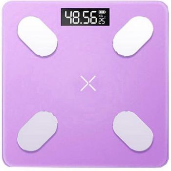 Outdoor Mini Smart Weighing Scale