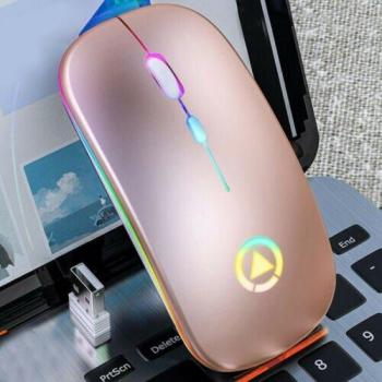 Silent Wireless Gaming Mouse Rechargeable 2.4GHz USB Optical Ergonomic with LED Lighting for PC