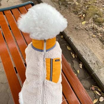 Autumn & Winter Dog and Cat Clothing