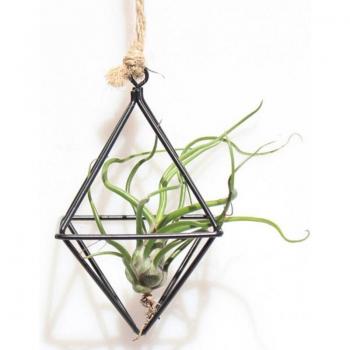 Wrought Iron Triangular Hanging Planter