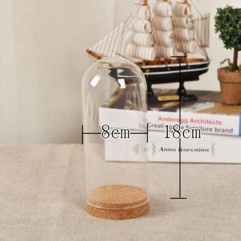 Corked Glass Storage Bottle for Immortal Flowers