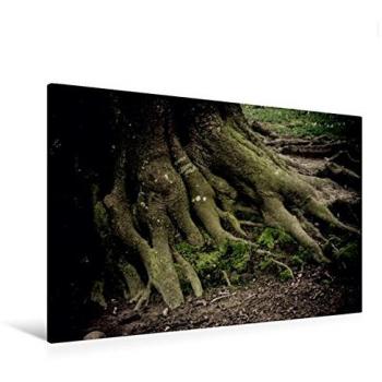 Waldzauber – Calvendo Wandbild 120×80 cm