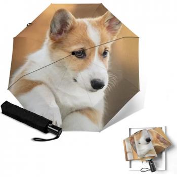Windproof Three-Fold Umbrella with Dog Design