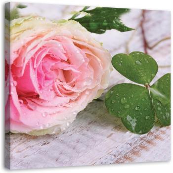 Serene Pink Rose Nature Canvas 30x30