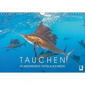 Tauchen: Wunderbares tiefblaues Meer