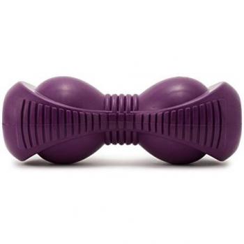 Jouet pour animaux PetSafe : Squeak 'n Treat Ooga