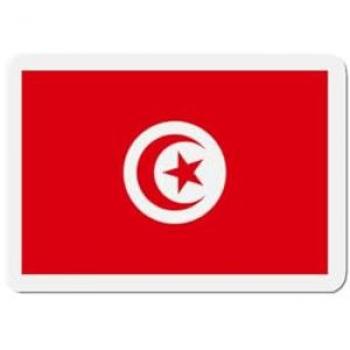 Synthetic Resin Tunisia Flag Magnet