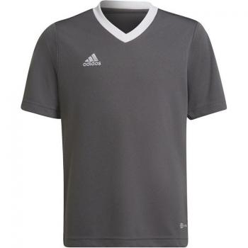 Adidas Entrada 22 Jeugd Sportshirt Grijs