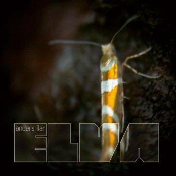 Elva Remixes