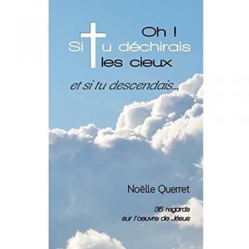 Oh! Si tu déchirais les cieux et si tu descendais...: 35 regards sur l'oeuvre de Jésus