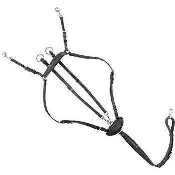 Kavalkade Reiterbedarf – 20 cm, silber