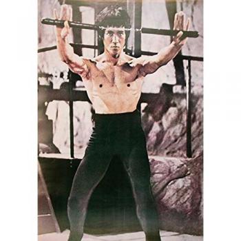 Poster Bruce Lee mit Nunchaku – Premium Druck 2024