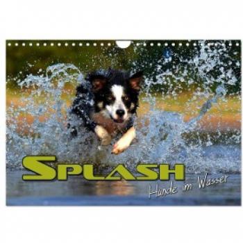 SPLASH