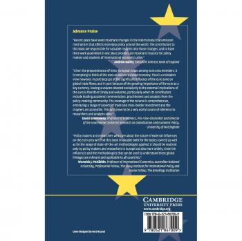 The External Dimension of the Euro Area: Assessing the Linkages