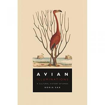 Avian Illuminations : A Cultural History of Birds