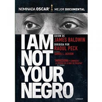 I Am Not Your Negro (2016)