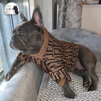Teddy Fashion Pet