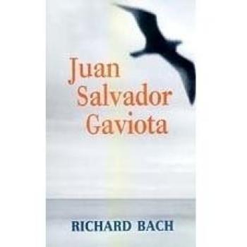 Juan Salvador Gaviota