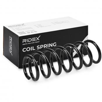 Molle RIDEX 188C0893
