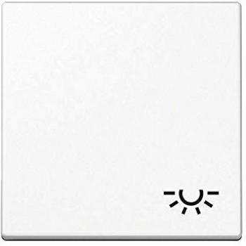 A590BFLWW Electrical Switch Shield