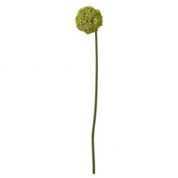 Allium Floral Green One‑Size Stem