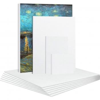 6 Cotton Canvas Panels with Framed Wood for Oil Painting