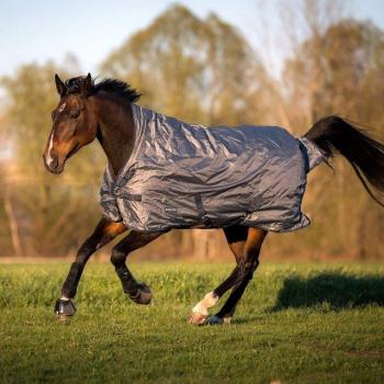 BUSSE RAIN-DEAR 200 Thermodecke grau