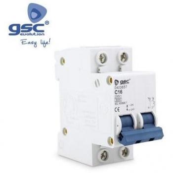Interruptor Automático GSC 2P 20A