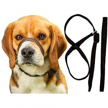 Gencon All-in-One Dog Headcollar Lead No Clip Anti Stop Pull