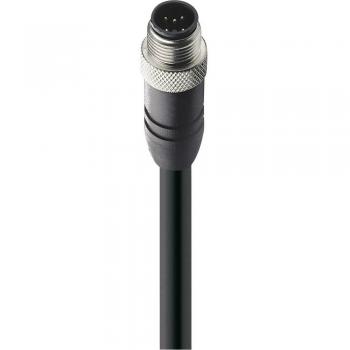 Cordon de connexion M12 mâle Belden 5m pour capteurs/actionneurs