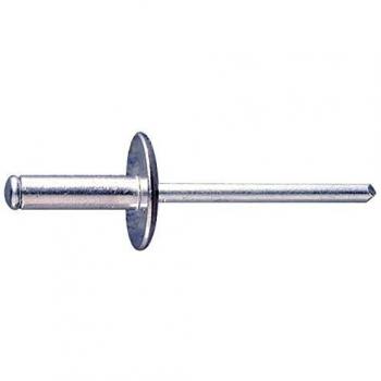Chiodo a testa larga 12 x 4 mm in alluminio