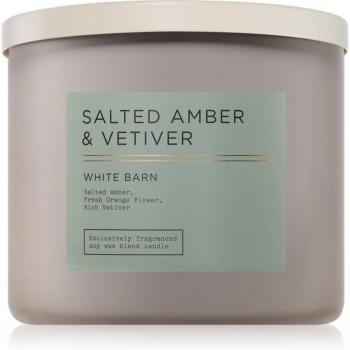 Salted Amber Retreat Candle 411g