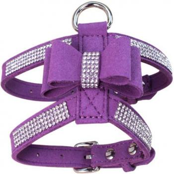 Chic Dog Diamond