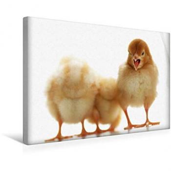 Textil-Leinwand „Protest“ 45×30 cm – CALVENDO Premium Druck von Tanja Riedel